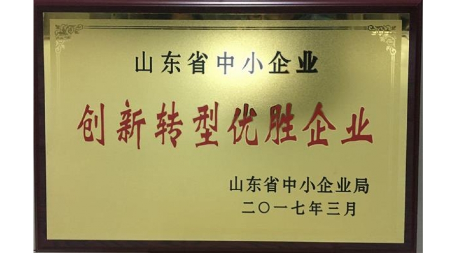 全省中小企業(yè)創(chuàng)新轉(zhuǎn)型優(yōu)勝企業(yè)牌子